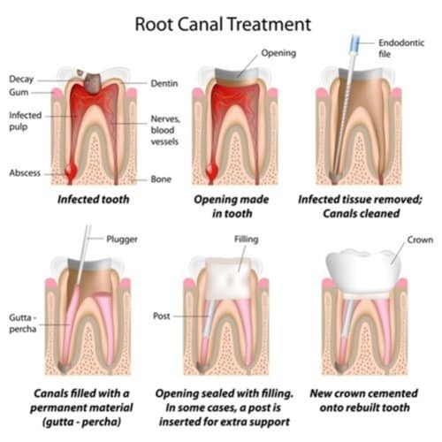 dentistaonnut